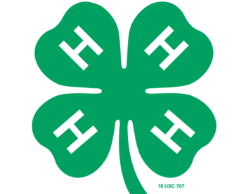 Four leaf clover with H's on each leaf