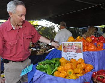 person looking at sign for organic peppers at a market