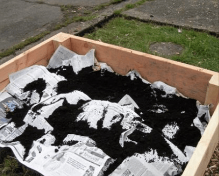 Manure on top of newspaper