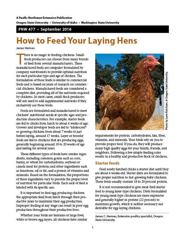 Cover image of "How to Feed Your Laying Hens" publication