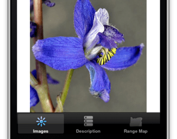 screenshot of app on mobile screen with flower showing