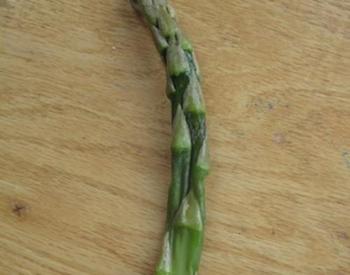 Single asparagus strand