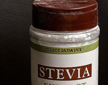 Close up of a bottle of Stevia Extract