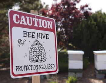 Sign reads caution bee hive - protection required.