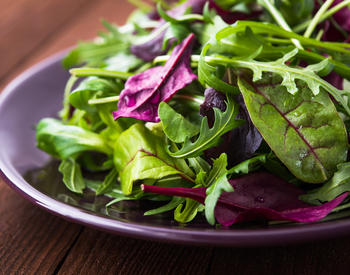 A plate of a dark, leafy green salad.