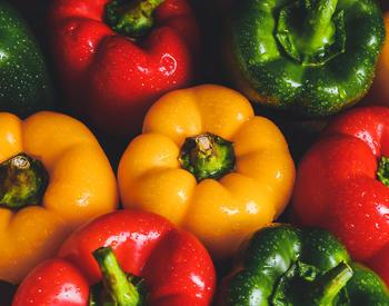Red, yellow, and green bell peppers with water droplets on them.