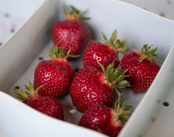 red strawberries in a white container on a table.