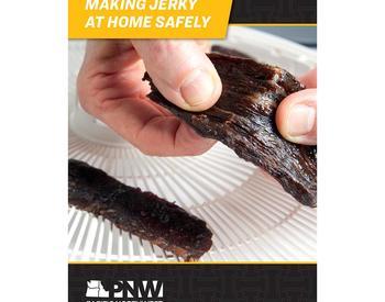 Cover image of "Making Jerky at Home Safely" publication