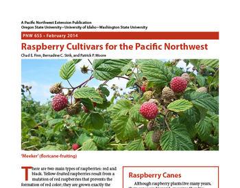 Image of Raspberry Cultivars for the Pacific Northwest publication