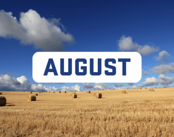 Banner for August 2023 newsletter, showing a wheat field with blue skies