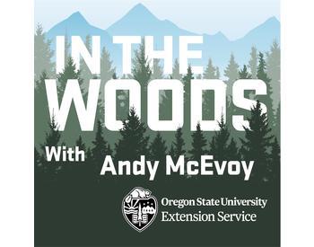 In the woods logo and show title. Vector image of mountains in background, with forest in foreground. Block text reads: In the woods with Andy McEvoy.