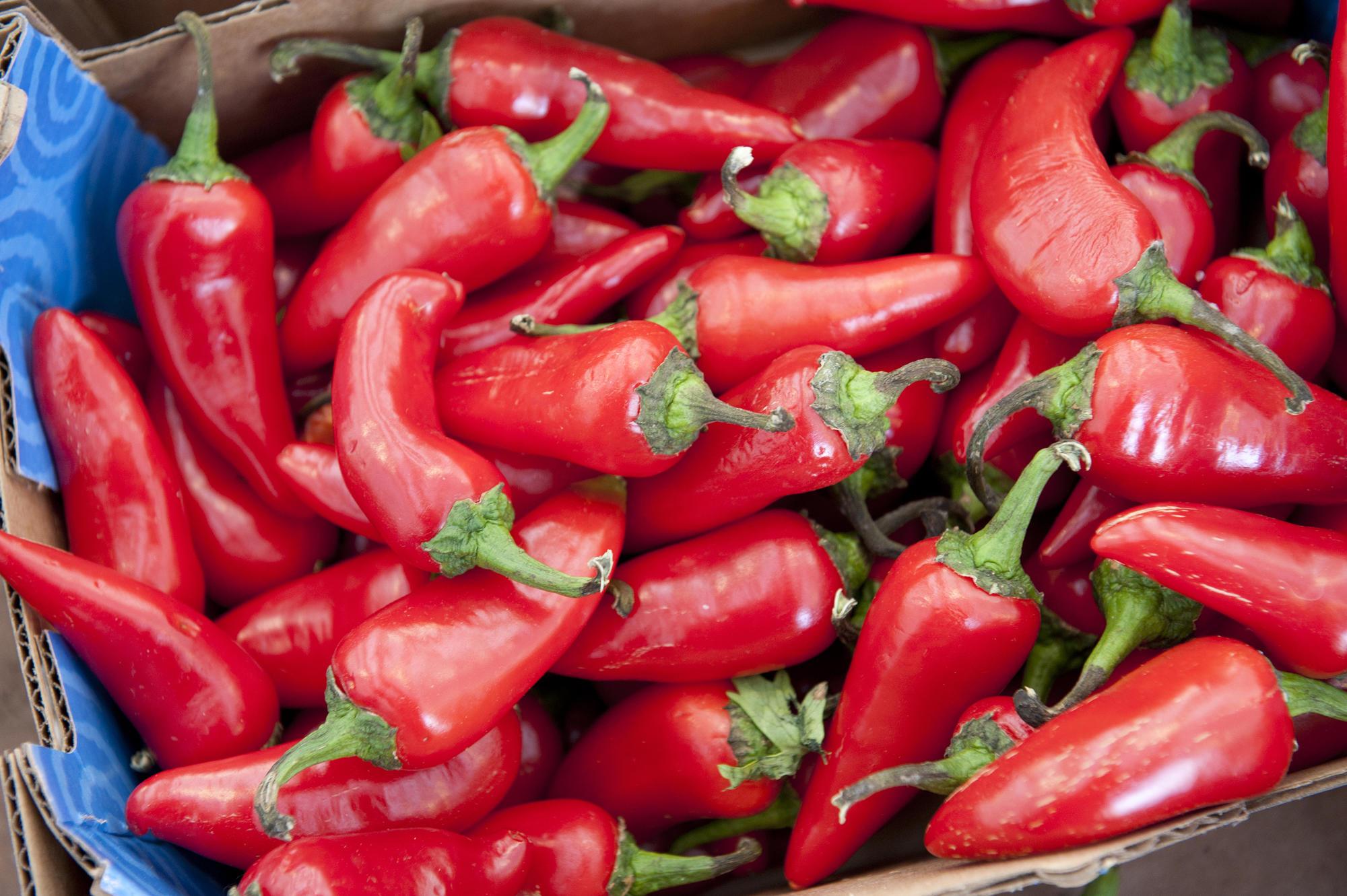 Spice up your garden with the perfect pepper