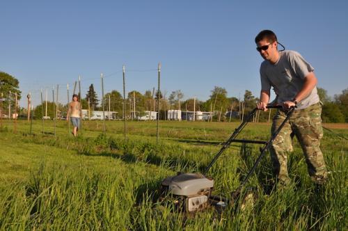 David Mandrell, a graduate student at Oregon State University, mows the grass at a farm run by the OSU Organic Growers C