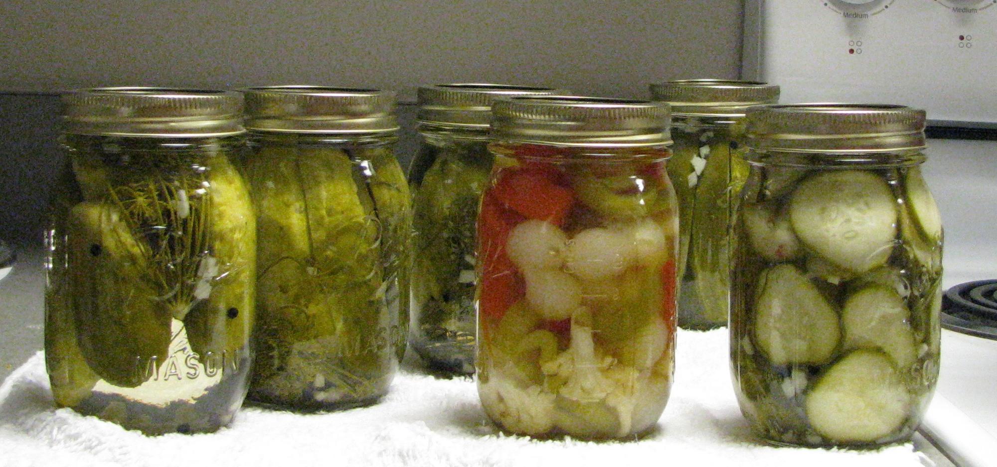 An eye-level view of five jars of pickles and one jar of pickled mixed vegetables.