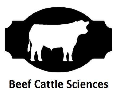 The importance of energy nutrition for cattle | OSU Extension Service