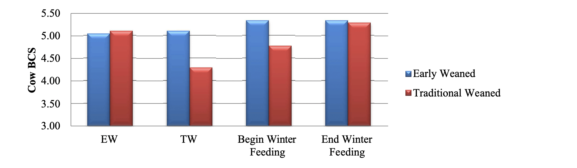 Graph showing effects of weaning strategy on a cow's BCS during different phases. Cows assigned for early weaning showed a smaller drop in BCS at early weaning and the beginning for winter feeding than cows assigned for traditional weaning.
