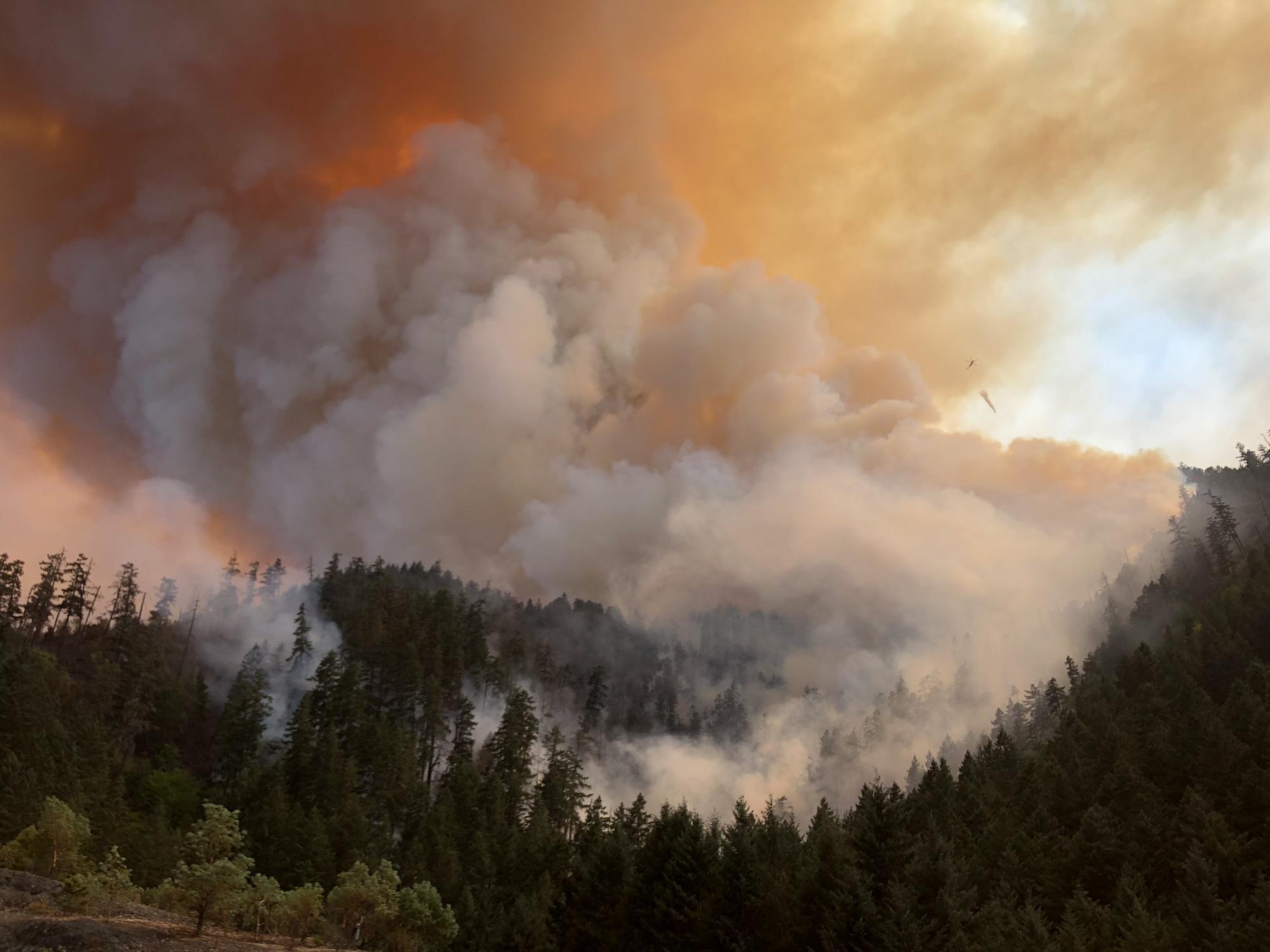 Smoke rises from a wildfire in a heavily forested, mountainous area.