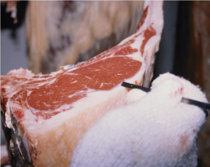 Guide for Purchasing Freezer Beef, Pork and Lamb