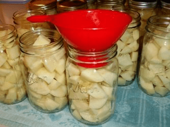 Quarts of cubed potatoes ready for water to be added for canning.