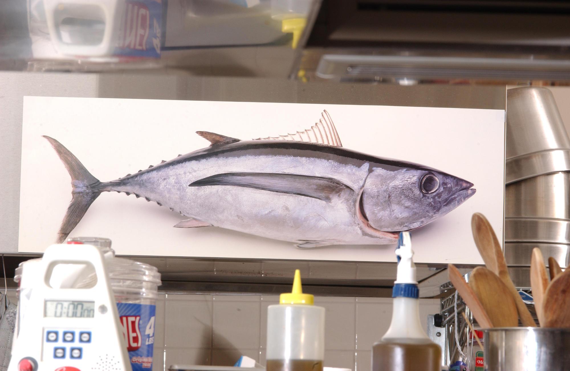 Filleting Tuna for Canning (SP 50-739)