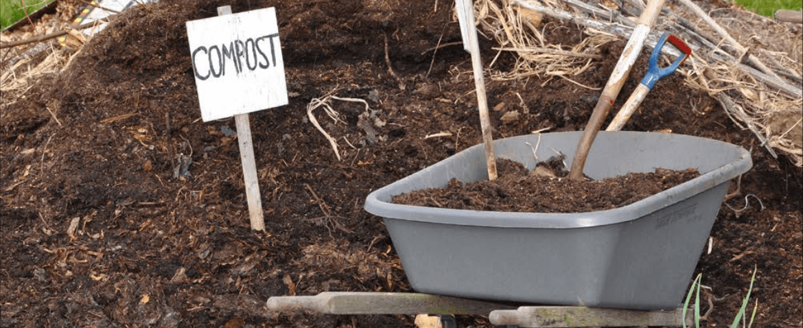How to turn dried leaves into garden compost