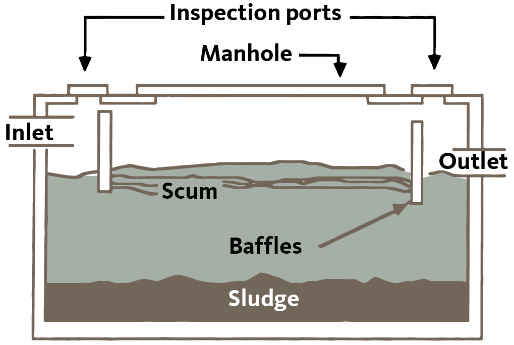 Schematic of septic tank interior, showing sludge at bottom and scum floating at top
