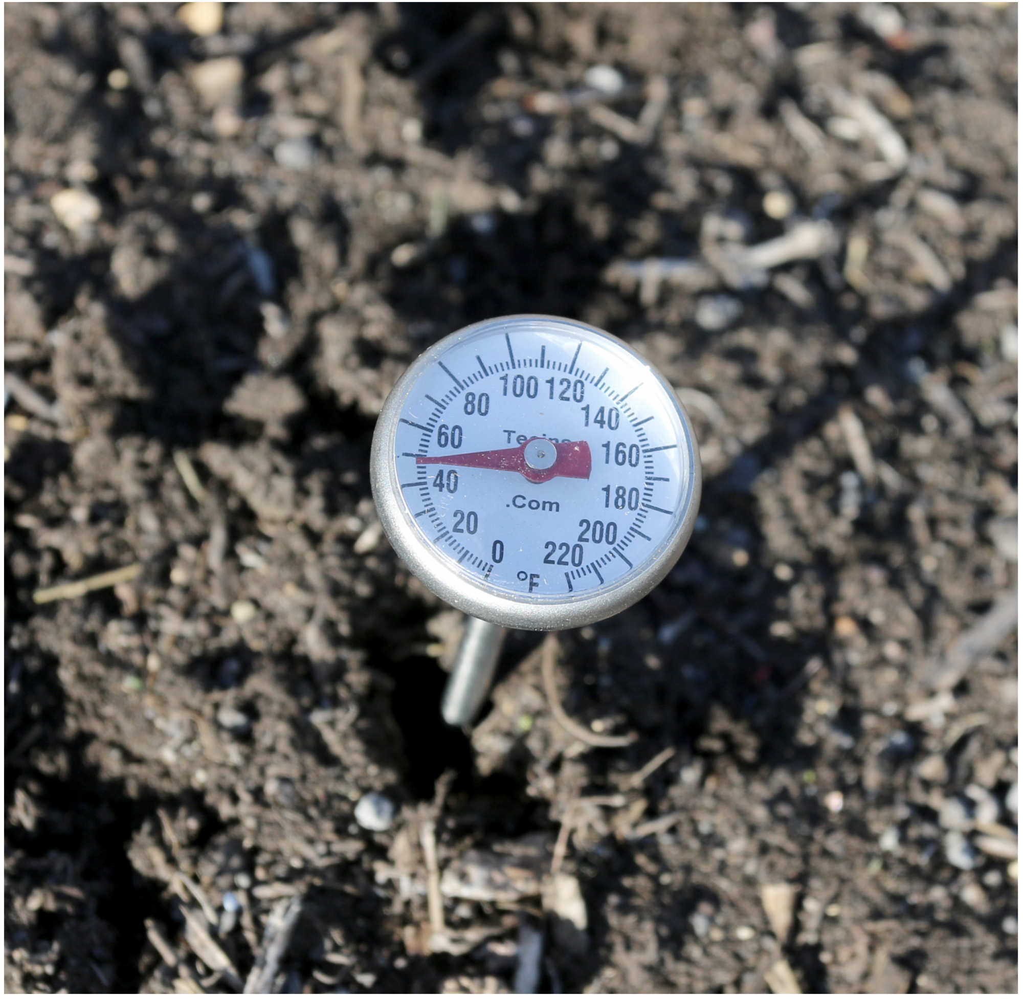 Oregon Scientific EMS100 Thermometer : : Garden