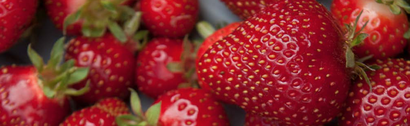 How to Grow Strawberries in Your Garden