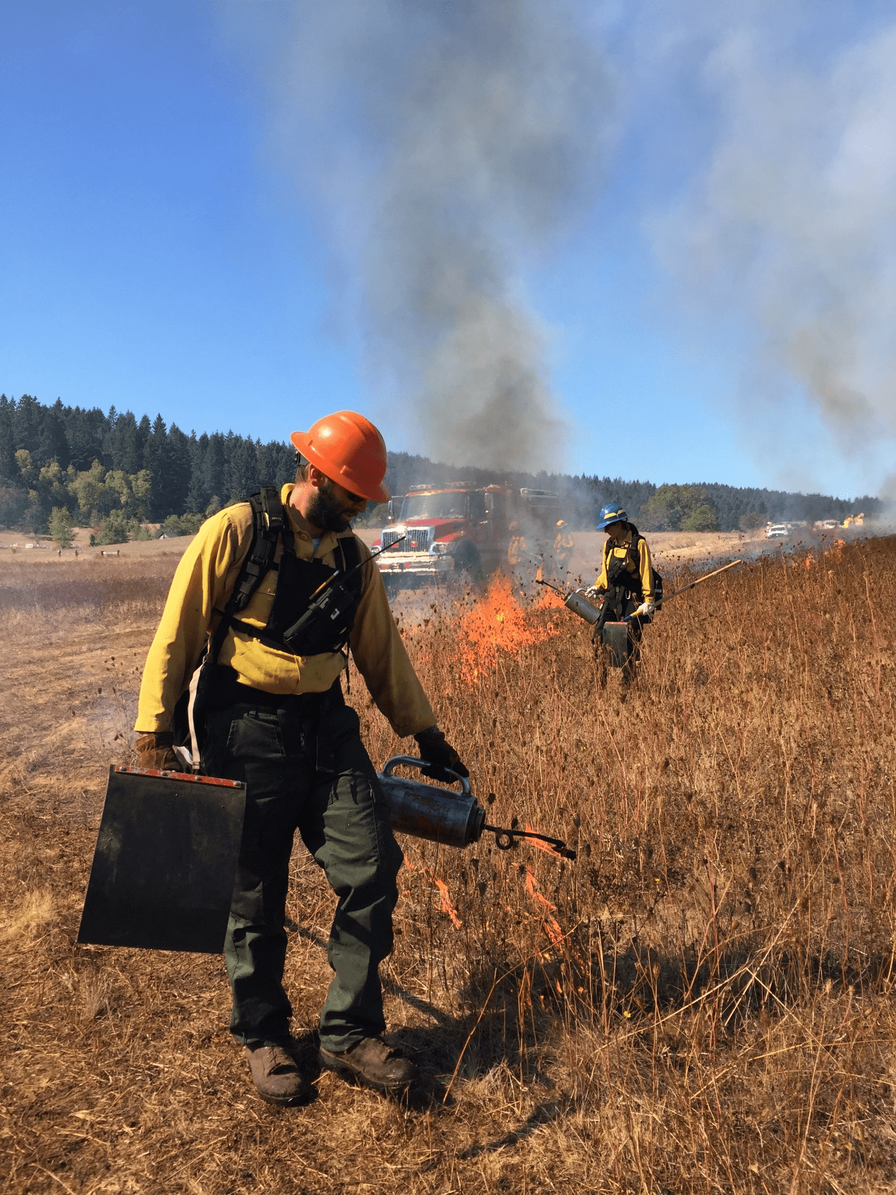 An ignition crew uses drip torches to ignite a prescribed fire.