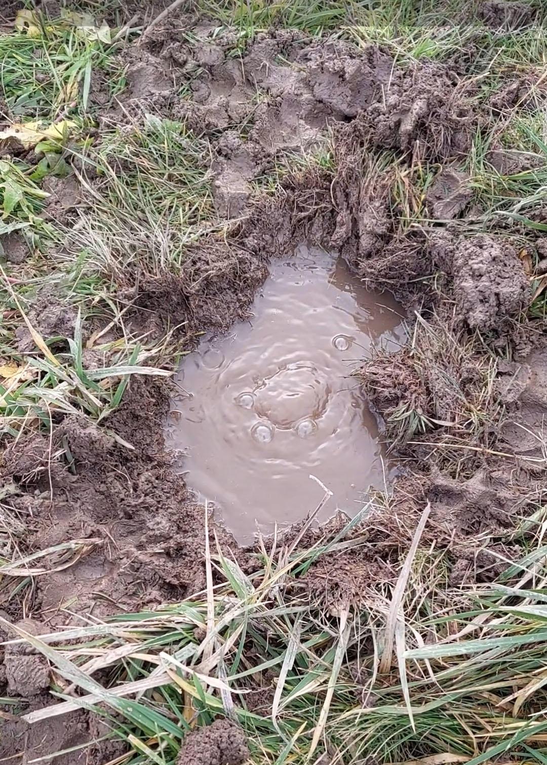Gas bubbles up through a puddle in a field