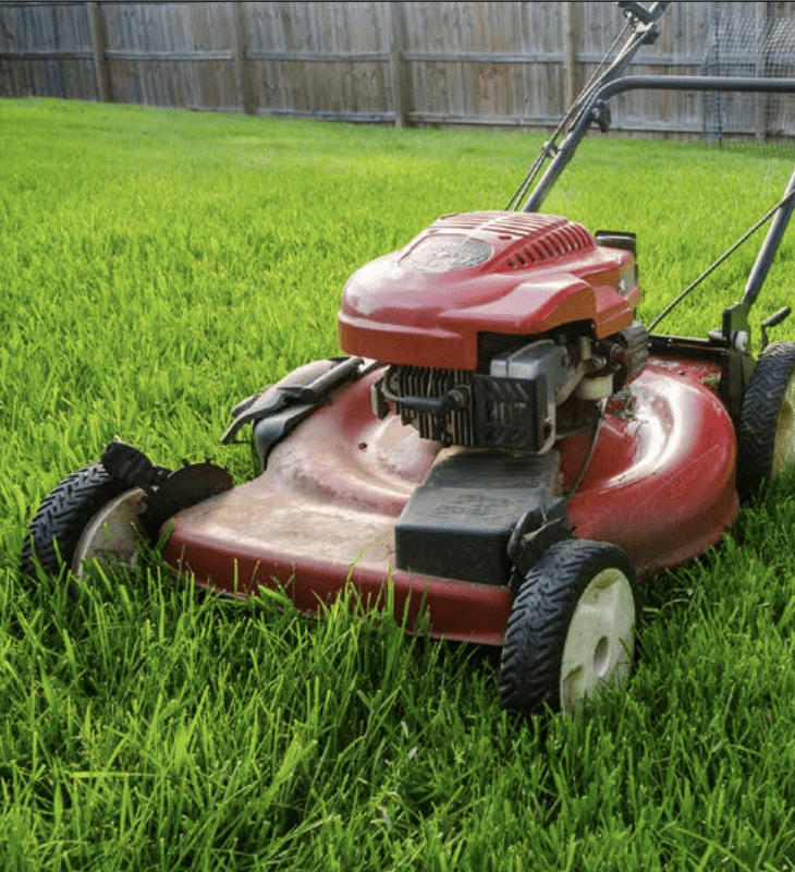 It is best to cut grass often and leave clippings on lawn