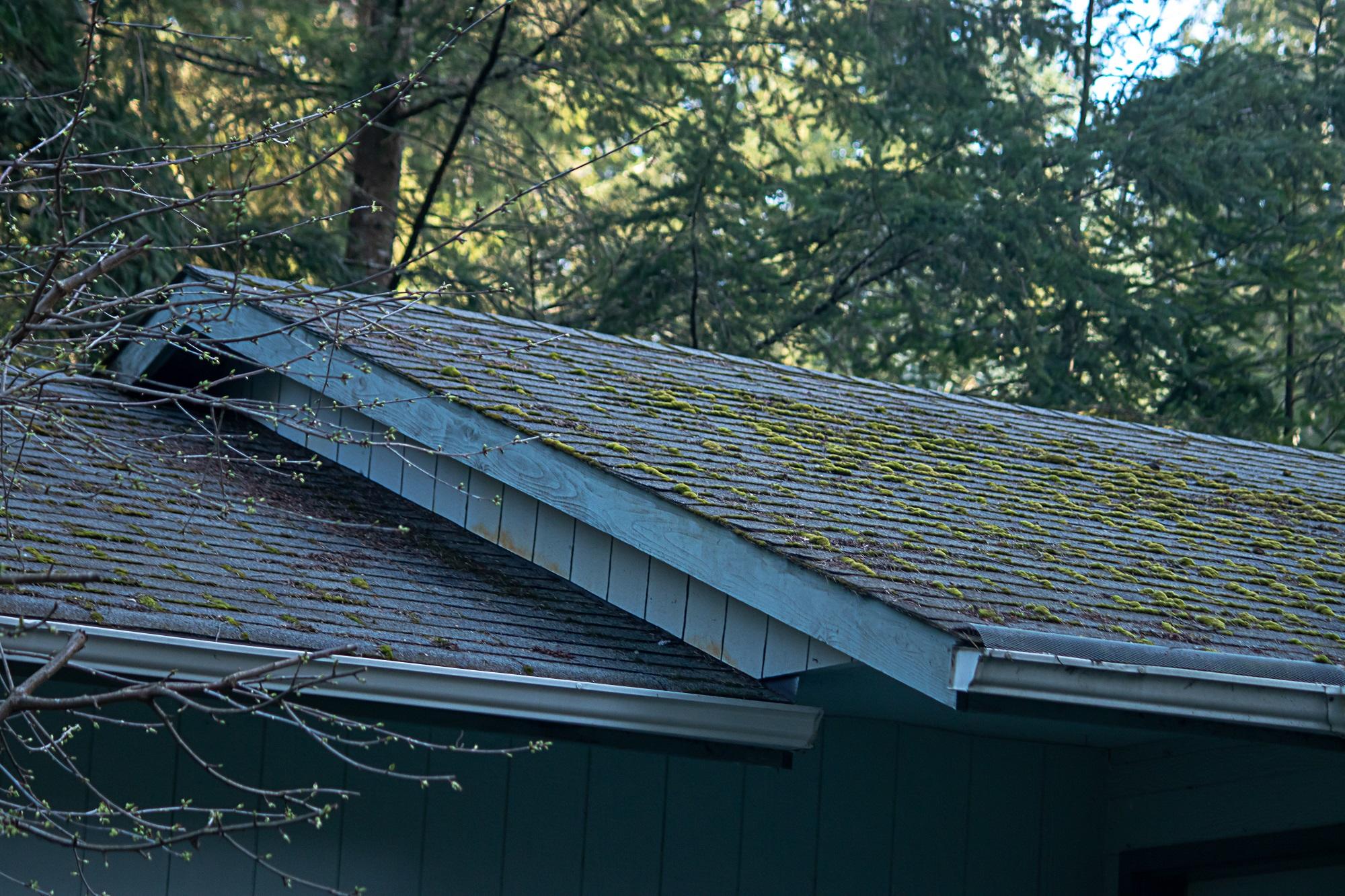 A roof with moss growing on the shingles.