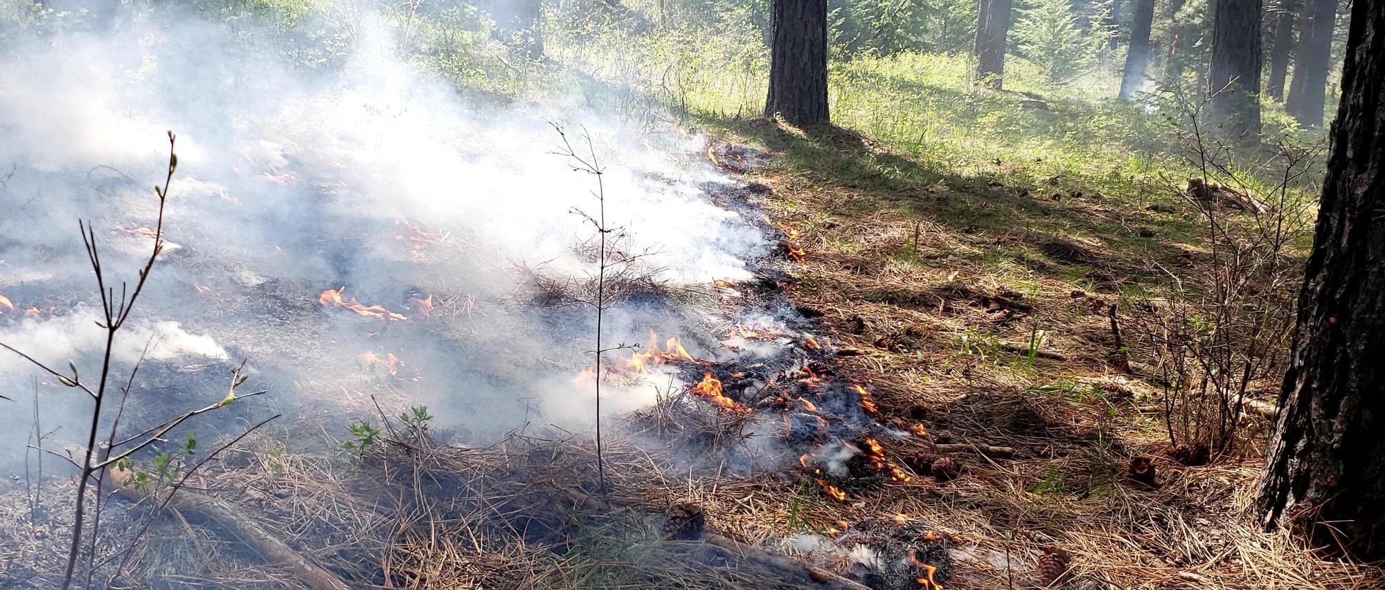 Prescribed Fire Basics: Ignition Techniques and Tools