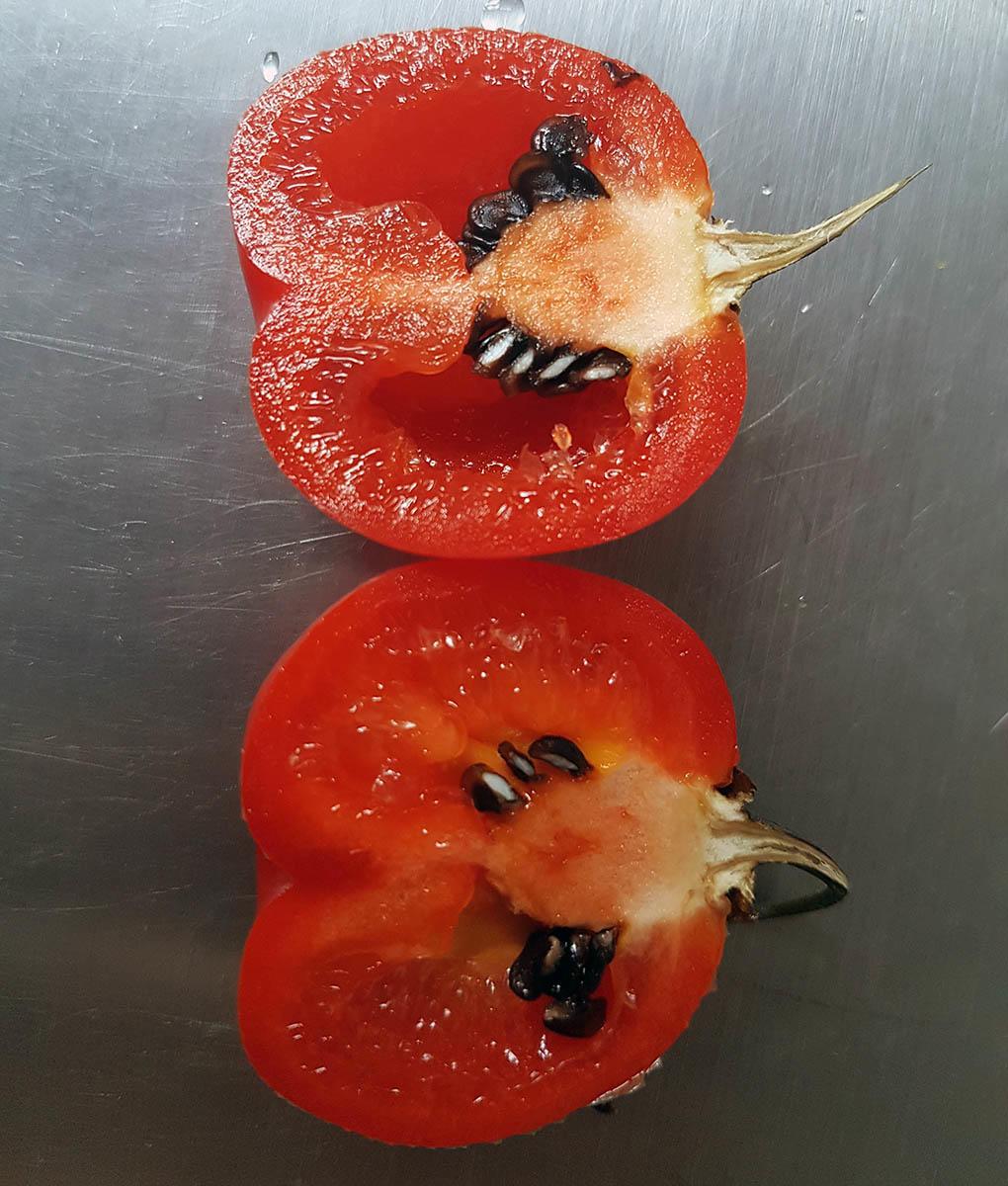 red pepper sliced in two to see seeds