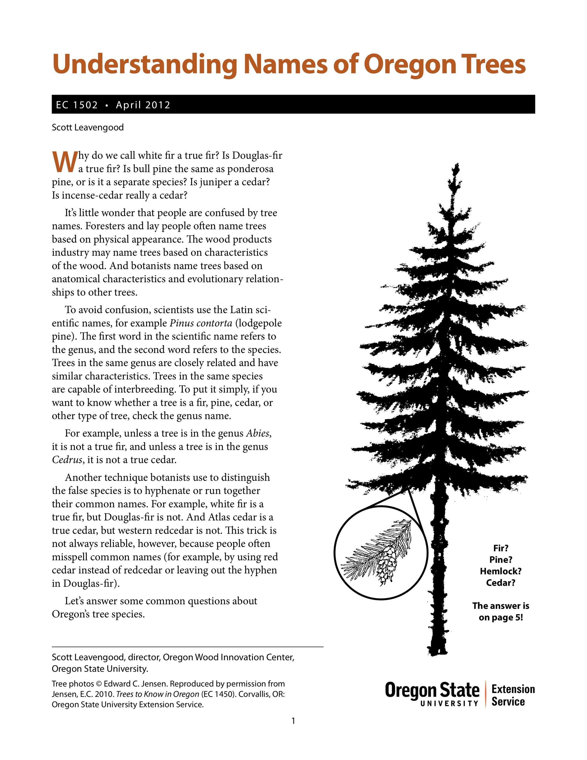 Understanding Names of Oregon Trees OSU Extension Service