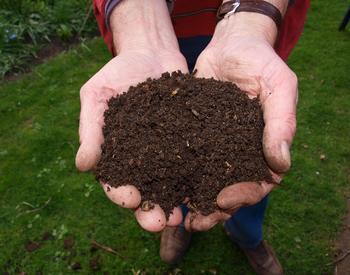 Image of Compost soil amendment