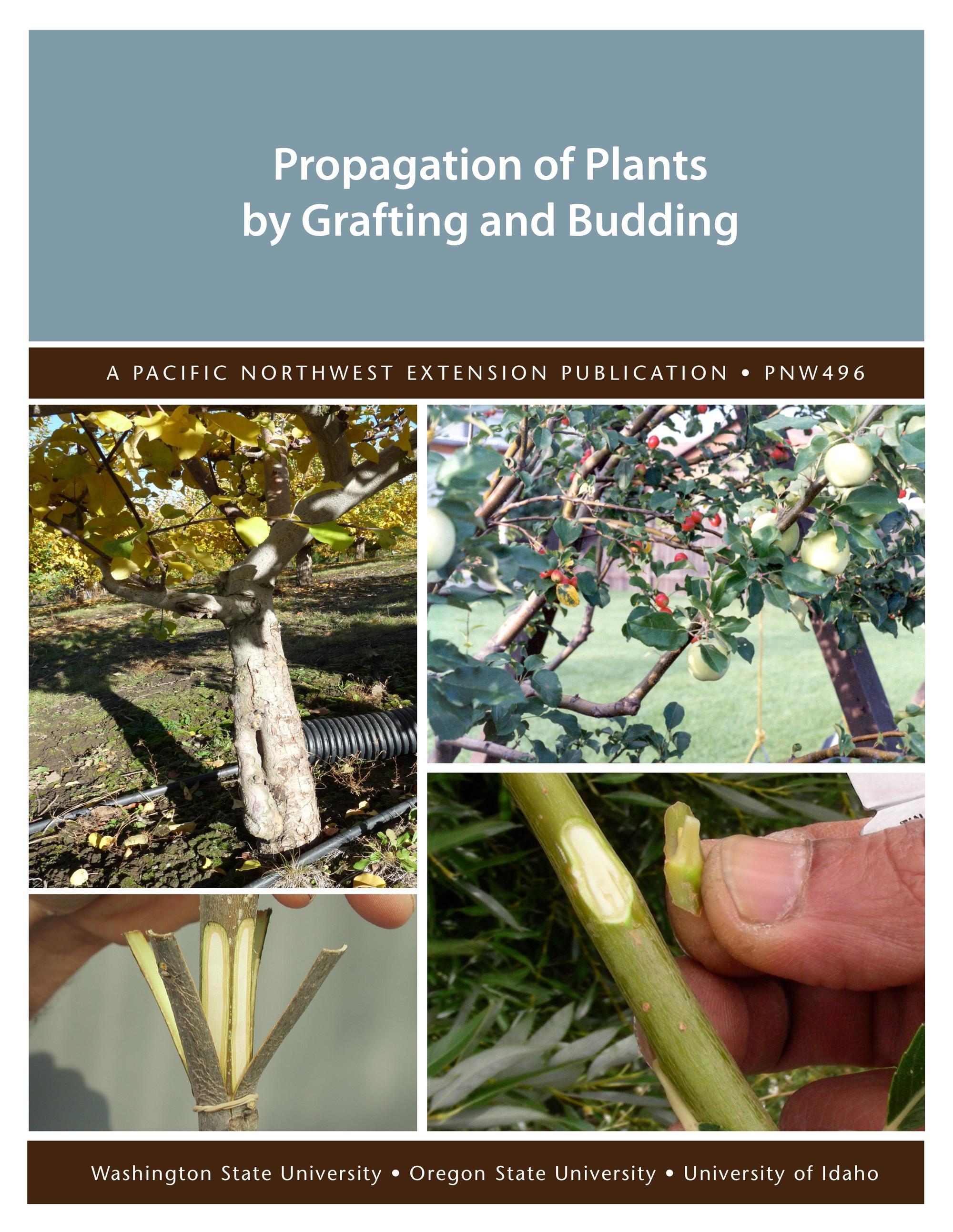 Image of Propagation of Plants by Grafting and Budding publication