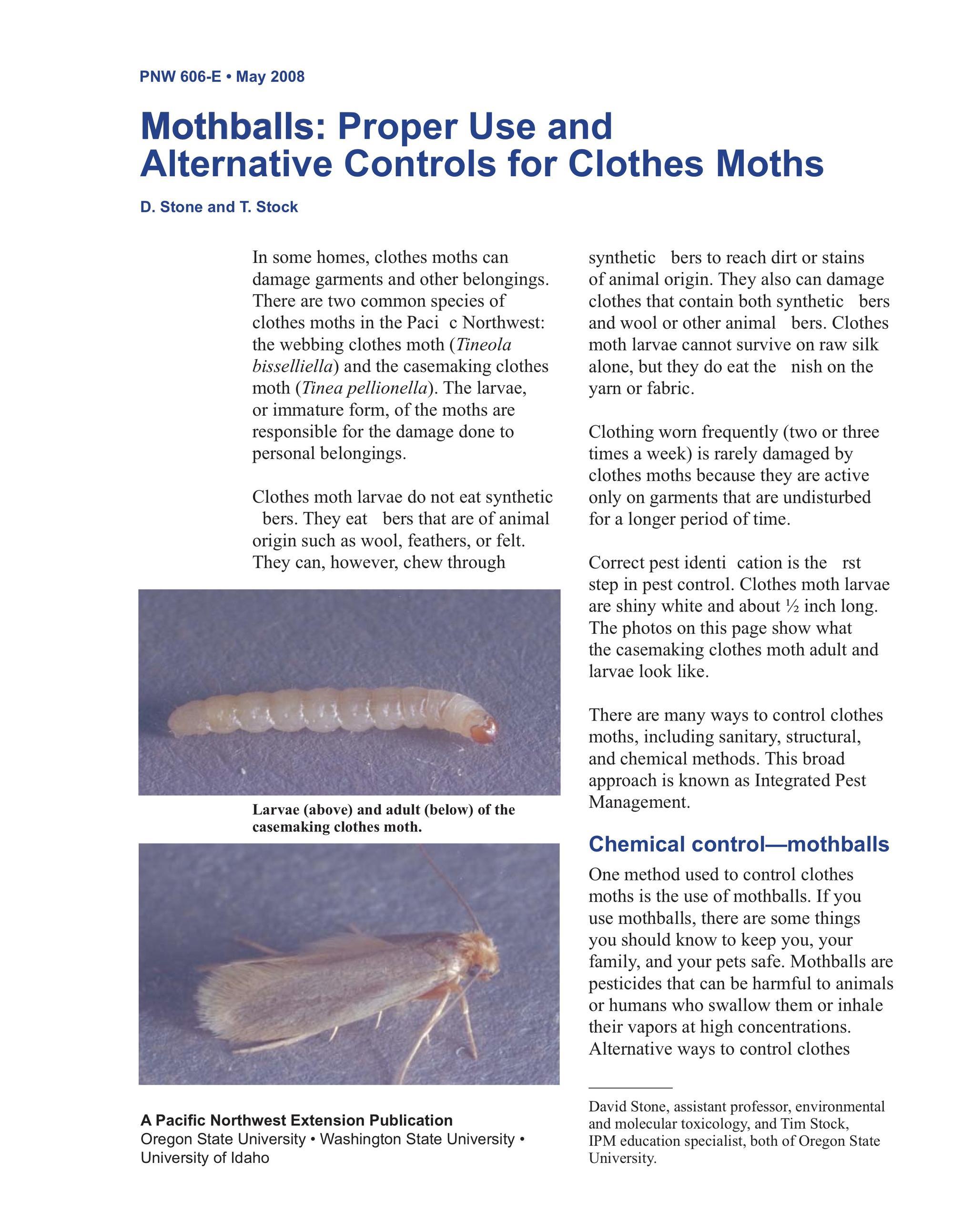 Identify and Control Webbing and Casemaking Clothes Moths - Batzner Pest  Control - Pest Control and Exterminator Services