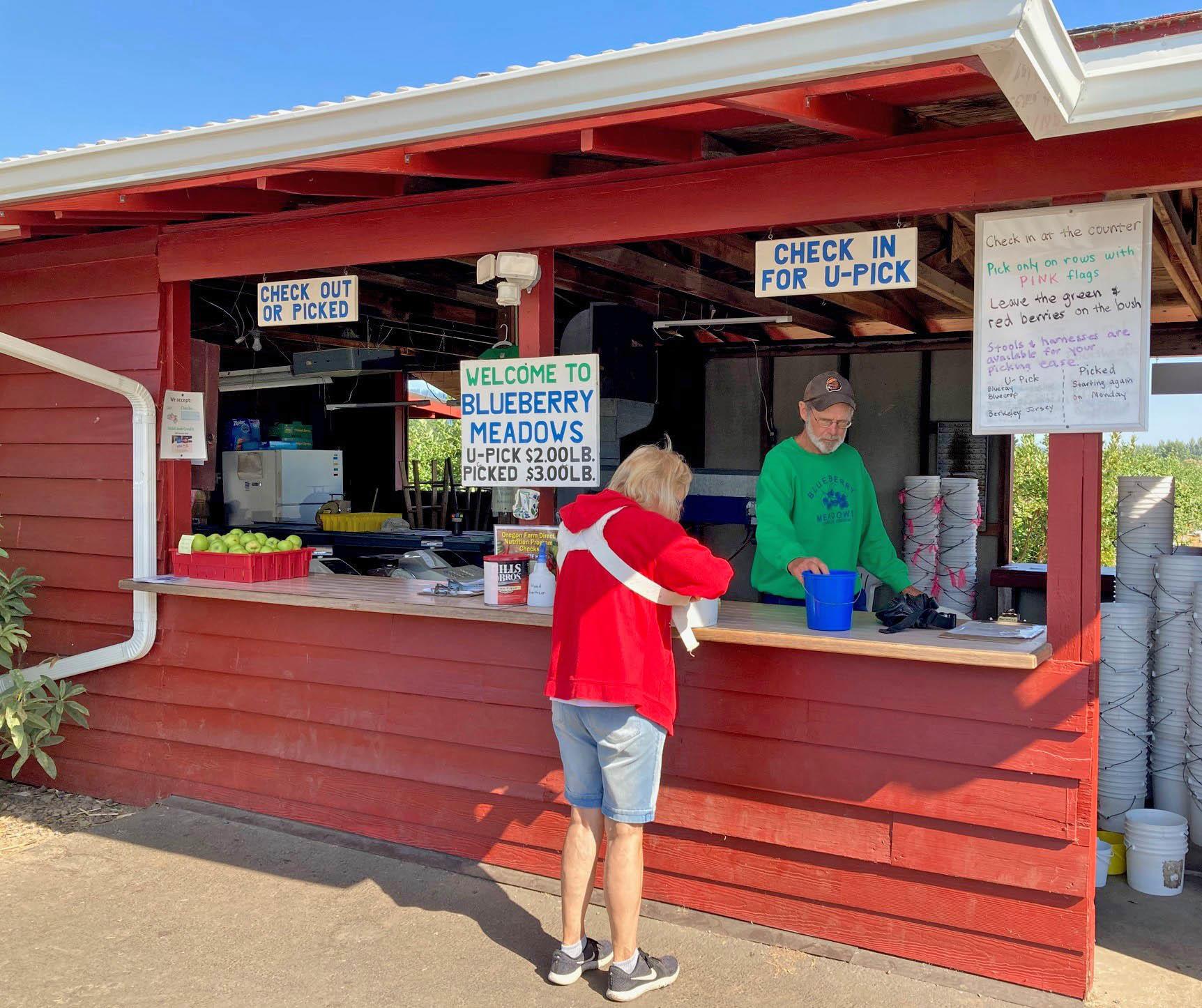 a woman completes a transaction at a little red u-pick blueberry stand.