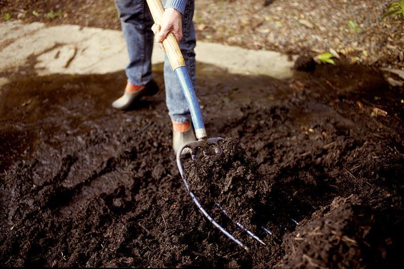 In no-till gardening using a garden fork means less soil disturbance.