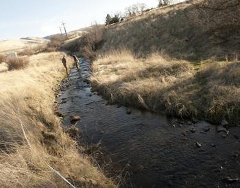 stream through a grassy field