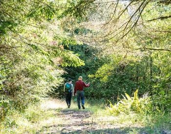 The rear view of a woman and a man walking up a trail bordered by trees and vegetation on both sides.