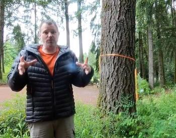 OSU Extension's Peter Matzka hosts a Facebook Live event at Hopkins demonstration Forest about measuring the volume of wood in a tree.