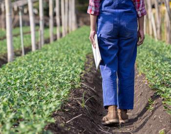 farmer walking through crops