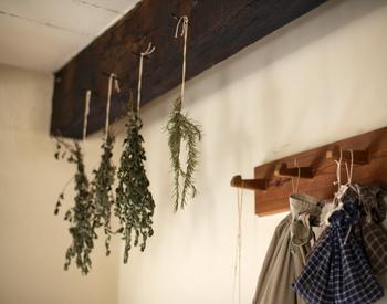 Four bundles of herbs hang from a ceiling beam to dry.