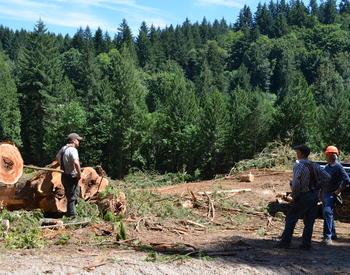 Three men stand in a clearing with a downed tree and forested hills in the background.