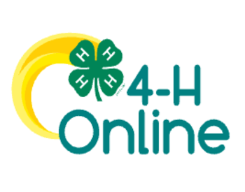 4HOnline Logo