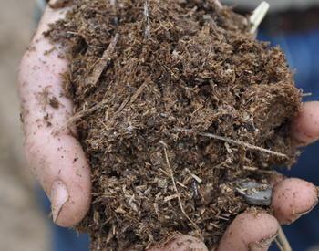 Nick Andrews shows off compost