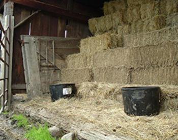 How To Grow Quality Hay - Hobby Farms