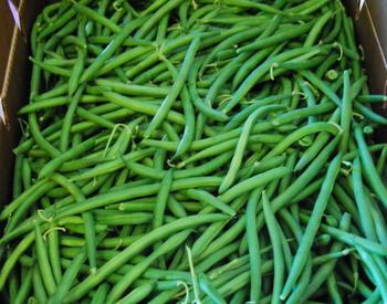 Box of green beans